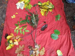 Waldmorgen, 1. Klassen