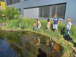 Forschen am Teich