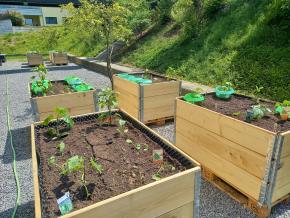 Hochbeete