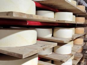 6. Klassen: Ausflug in die Biokäserei Trutigen