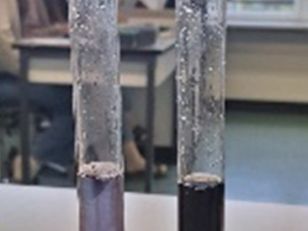 Stärke Speichel Versuch