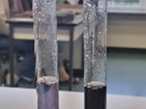 Stärke Speichel Versuch