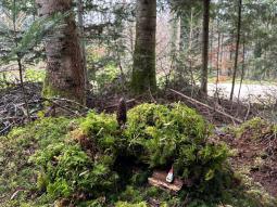 Waldmorgen 3./4.Klassen