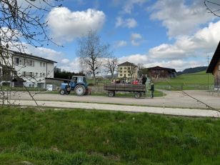 Kindergartenreise auf den Bauernhof