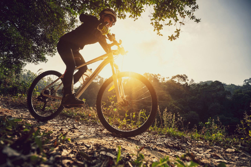Mountainbike (neu mit 2./3. Primar)