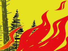 Anhaltende Trockenheit: Neu gilt absolutes ­Feuerverbot im Freien