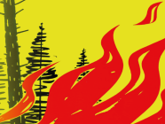 Anhaltende Trockenheit: Neu gilt absolutes ­Feuerverbot im Freien