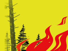 Kanton Luzern: Absolutes Feuerverbot im Wald aufgehoben - weiter Vorsicht geboten