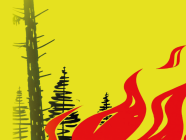 Kanton Luzern: Absolutes Feuerverbot im Wald aufgehoben - weiter Vorsicht geboten