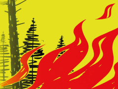 Verbot von Feuerwerk, 1. August-Feuer und Feuer im Wald und Waldesnähe