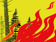 Verbot von Feuerwerk, 1. August-Feuer und Feuer im Wald und Waldesnähe
