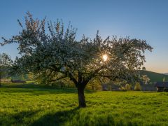 Förderprogramm Umwelt und Nachhaltigkeit